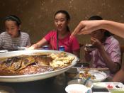 Img 4584