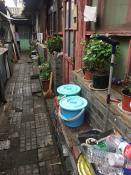 Beijing Ancient Alley2