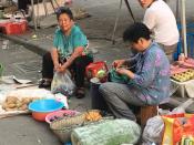 Img 2573 Copy