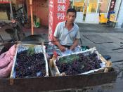 Beijing Street Vendor Grapes