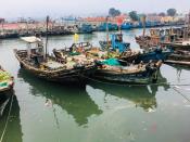 Fishing Boats