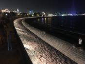 Qingdao at Night Harbor