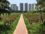 Qingdao Underground Sewage Processing