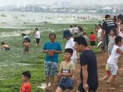 Swimming in Algae