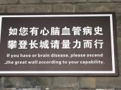 Beijing Brean Damage