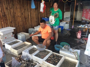 Street market local shellfish