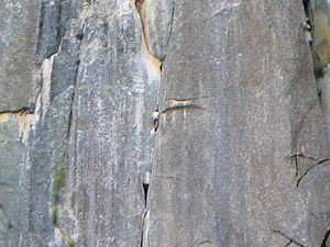 7 activities rock climbing el capitan