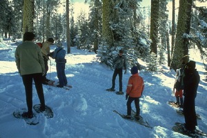 7 activities winter hiking